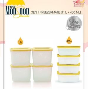 Freezer storage boxes